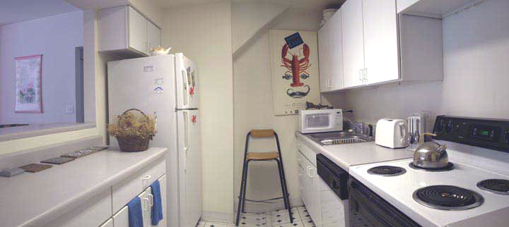 Unit 302 Bathroom and Kitchen, Manhattan Building, 431 S. Dearborn